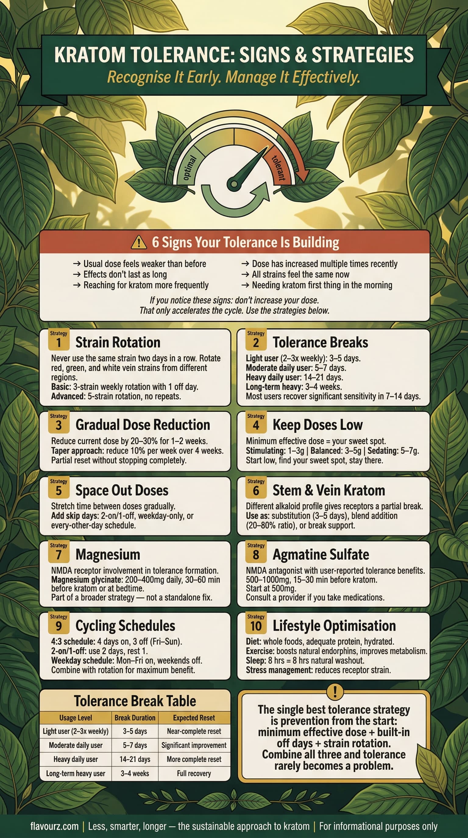 infographic for Signs Your Kratom Tolerance Is Building